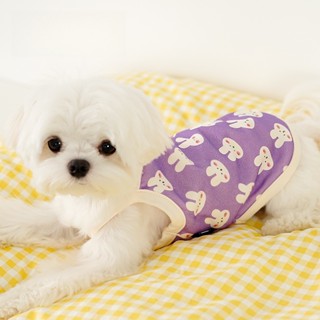 [Fluffy Pet] พร้อมส่ง เสื้อกั๊ก ระบายอากาศ ลายการ์ตูนชิวาวาน่ารัก เหมาะกับฤดูร้อน สําหรับสัตว์เลี้ยง สุนัข ลูกสุนัข