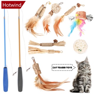 Hotwind ไม้กายสิทธิ์ พร้อมจี้ขนนก แบบเปลี่ยน อุปกรณ์เสริม สําหรับสัตว์เลี้ยง แมว O2V8 6 7 ชิ้น