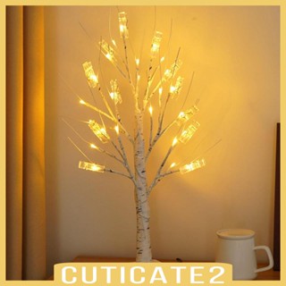 [Cuticate2] ขาตั้งต้นไม้ พร้อมไฟ LED พร้อมคลิปหนีบ สําหรับห้องนอน