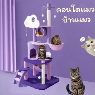 🍀คอนโดแมว บ้านแมว  คอนโดแมวไม้  ของเล่นแมว  ที่ลับเล็บแมว  Cat Condo  คอนโดแมวราคาถูก