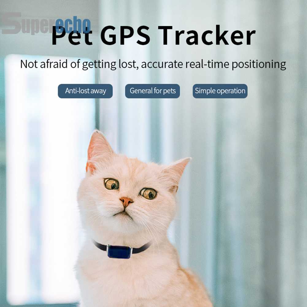 ปลอกคออัจฉริยะ GPS ป้องกันการสูญหาย สําหรับสัตว์เลี้ยง สุนัข แมว