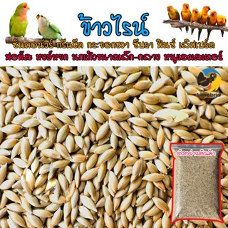 ข้าวไรน์ Canary Seed บำรุงให้ขนสวย มันเงา นำเข้าจาก Canada สำหรับนกแก้วและหนูแฮมสเตอร์ บรรจุ 500-1000 กรัม