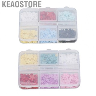 Keaostore Flower Nail Rhinestone  DIY Art Decoration Multi Colours Resin 2 Boxes Durable for Spas