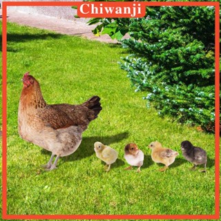 [Chiwanji] ฟิกเกอร์รูปไก่ สําหรับตกแต่งสวนหลังบ้าน ทางเดินกลางแจ้ง