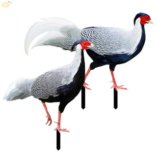 【VARSTR】Lovely Pheasant Garden Accents 2 Pieces Acrylic Lawn Decoration for Garden Décor