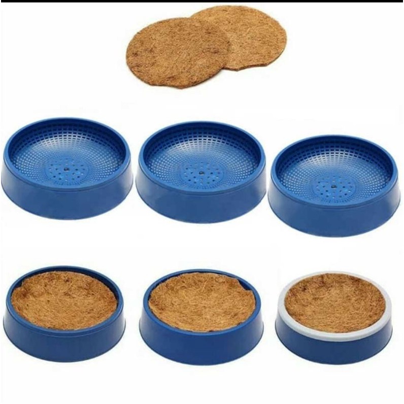 1 ชุดของ BIRDS NEST, BIRDS PLACE, LAYING EGGS, DOVE, PUTER, PELUNG