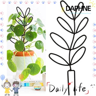 DAPHNE โครงไม้เลื้อย สําหรับประดับตกแต่งกระถางต้นไม้