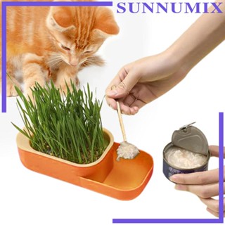 [Sunnimix] กล่องถาดเพาะเมล็ดถั่วงอก หญ้าสาลี สําหรับบ้าน ออฟฟิศ