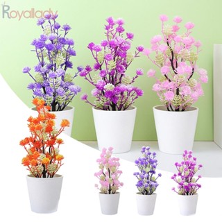 #ROYALLADY#Artificial บอนไซ สีสดใส สําหรับร้านอาหาร