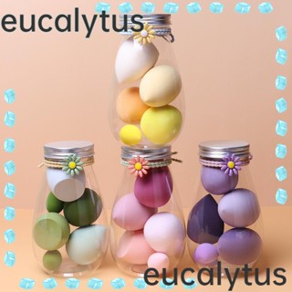 Eucalytus1 ฟองน้ําแต่งหน้า รูปไข่ สีแคนดี้ พร้อมกล่อง 6 ชิ้น