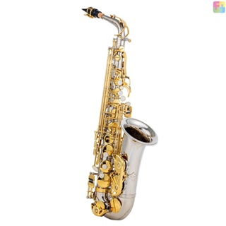 Eb เครื่องดนตรีอัลโตแซกโซโฟนทองเหลือง E Flat Sax 802 Key Type Woodwind พร้อมก้านทําความสะอาด ผ้า ถุงมือ สายคล้อง เบาะ