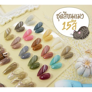 สีทาเล็บเจล รวมสีขนแมว Chenxiaon สีเจล ชุด15สี พร้อมชาร์ตสี