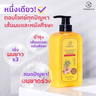 VANEKAA GINGER HAIR SHAMPOO วานีก้า จิงเจอร์ แฮร์ แชมพู ขนาด 500ml ส่งตรงถึงมือคุณ