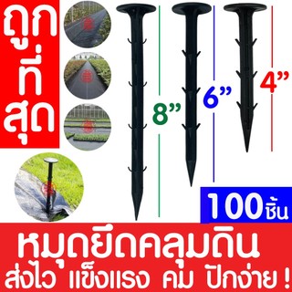 *ส่งไว* หมุดยึดผ้าคลุมวัชพืช 4/6/8นิ้ว 100ชิ้น หมุดยึดผ้าคลุมดิน เหล็กเสียบ หมุดปักดิน สมอบก หมุด ตะปูปักดิน clearance