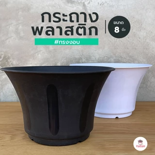 กระถางพลาสติก #ทรงงอบ #6 นิ้ว #8นิ้ว กระถางแคคตัส กระบองเพชร ไม้อวบน้ำ Cactus&Succulent
