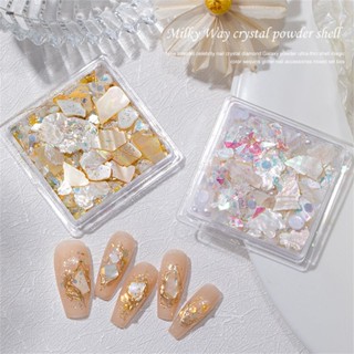 ตามมาตกแต่งเล็บ Mix Kit Nail Glitter Sequins Sequins Nail Art Powder Gel Polish Nail Art Accessories nuuo