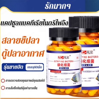 น้ำยาเตรียมสำหรับการเลี้ยงปลาหางนกยูง ที่มีส่วนผสมของแบคทีเรียเพื่อช่วยในกระบวนการเปลี่ยนสภาพของน้ำ