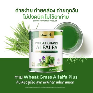 ✅แท้💯 Wheatgrass Alfalfa yumiko 200 g วีทกราส อัลฟาฟ่า ยูมิโกะ คลอโรฟิลล์ ไฟเบอร์ ล้างสารพิษ ปริมาณ 200 กรัม ขนาดจำโบ้