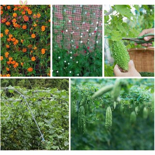 【COLORFUL】Heavy Duty Garden Trellis Netting Climbing Plants Support Net Mesh Fruits Vine