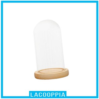 [ Cloche Bell Jar ฐานไม้ ทรงกลม แบบพกพา สําหรับตกแต่งบ้าน งานปาร์ตี้ งานแต่งงาน