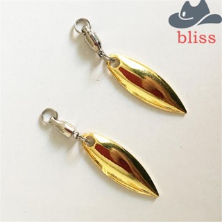 Bliss เหยื่อตกปลาสเตนเลส เสียงดัง DIY สําหรับตกปลากลางแจ้ง 10 ชิ้น ต่อชุด