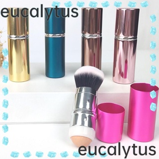 Eucalytus1 แท่งดูดซับน้ํามัน ยืดหดได้ อเนกประสงค์ รีเฟรช ออยล์บรัปชั่น หินภูเขาไฟ ดูดซับน้ํามัน บอล แปรงรองพื้น