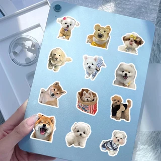 LanLanStickersWorld สติ๊กเกอร์สัตว์เลี้ยง 100/200 ชิ้น สติ๊กเกอร์น่ารัก สติ๊กเกอร์กันน้ํา แล็ปท็อป