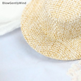 Blowgentlywind หมวกฟางถัก ขนาดเล็ก สําหรับตกแต่งบ้านตุ๊กตา 2 ชิ้น BGW