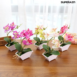 (super) ดอกกล้วยไม้ประดิษฐ์ พลาสติก ไม่ซีดจาง สําหรับตกแต่งบ้าน งานแต่งงาน DIY