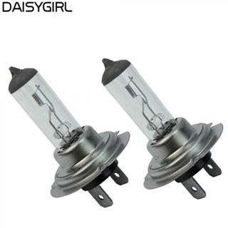 【DAISYG】Headlight DC 12V Headlight 6000K Halogen White Replacement Long lasting