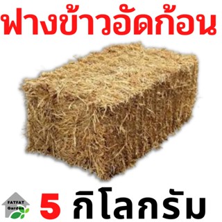 ฟาง ฟางข้าว ฟางข้าวอัดก้อน 5 กิโลกรัม 45 บาท ส่งจากนครปฐม ราคาหน้าสวน สวนมาเอง ไม่ชื้น ไม่เก่า ไม่ราขึ้น