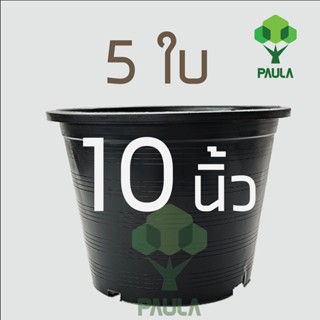 กระถางพลาสติก 10 นิ้ว x 5 ใบ กระถางดำ กระถางพลาสติก กระถางราคาถูก สำหรับปลูกต้นไม้ทั่วไป  กระถางต้นไม้ แคคตัส