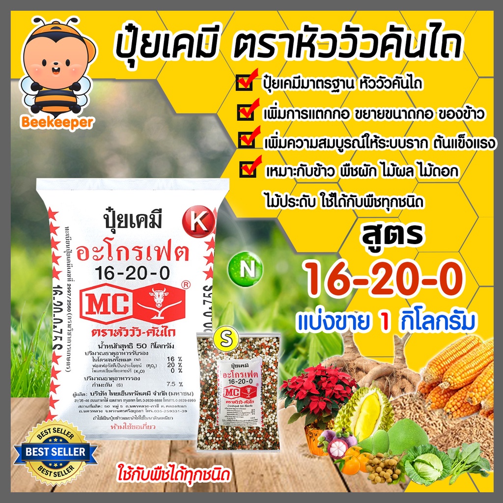 ปุ๋ยเคมี 16-20-0 อะโกรเฟต ตรา หัววัวคันไถ บรรจุ 1 กิโลกรัม ส่งเสริมการแตกกอ ขยายขนาดกอ ของข้าว ลำต้น