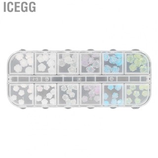 Icegg Nail Charms  Decorative Nail Art Charms Glitter Portable Mixed Size  for Outdoor