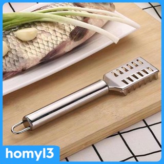 [Homyl3] อุปกรณ์ทําความสะอาดเกล็ดปลา สําหรับร้านอาหาร ห้องครัว