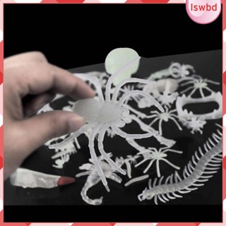 [lswbd] โมเดลตุ๊กแกปลอม รูปสัตว์ฮาโลวีน ของเล่นสําหรับเด็กวัยหัดเดิน