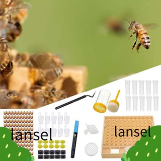 LANSEL ชุดเครื่องมือเลี้ยงผึ้ง Apis Mellifera สําหรับเลี้ยงผึ้ง