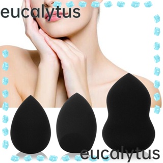 Eucalytus1 พัฟฟองน้ําแต่งหน้า คอนทัวร์ แห้งเร็ว