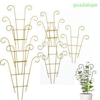 Guadalupe เสายึดกระถางต้นไม้ โลหะ มั่นคง อุปกรณ์เสริม สําหรับปลูกต้นไม้ในร่ม สวน
