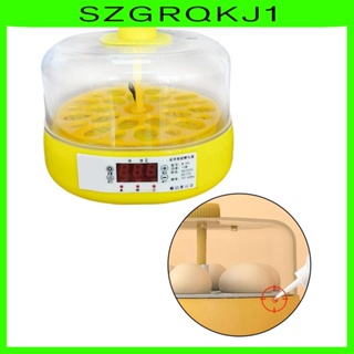 [szgrqkj1] เครื่องฟักไข่อัตโนมัติ ควบคุมอุณหภูมิ สําหรับนก