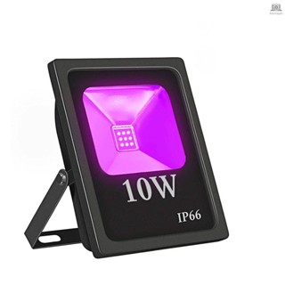 โคมไฟ LED 10W กันน้ํา IP66 เรืองแสงในที่มืด TOLO-9.7 สําหรับปลูกพืชในสวน กลางแจ้ง