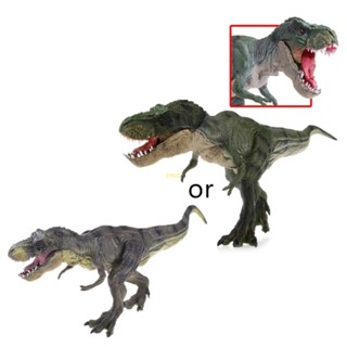 Youn Park Tyrannosaurus Rex โมเดลไดโนเสาร์พลาสติก ของเล่นสําหรับเด็ก