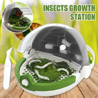 New Insect Growth Station Reptile Feeding Box Habitat Cage Silkworm Breeding Box