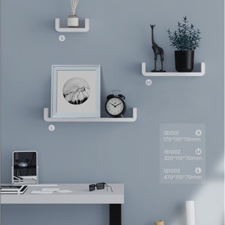 ชั้นวางของ ชั้นติดผนัง WALL SHELF