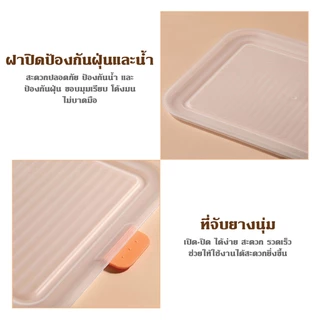 กล่องเก็บกางเกงใน กล่องเก็บถุงเท้า กล่องจัดระเบียบตู้เสื้อผ้า กล่องผ้