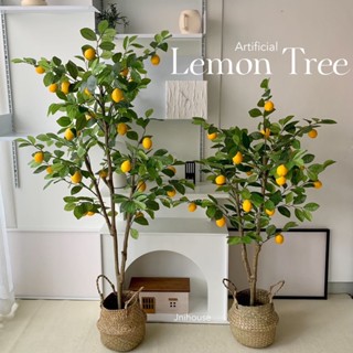 [พร้อมส่ง] ต้นเลมอนปลอม (Artificial Lemon Tree) แถมตะกร้าสาน