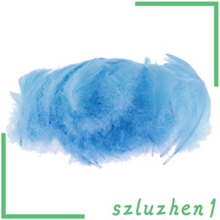 [Szluzhen1] หนัง หลากสี 6-10 ซม. สําหรับตกแต่งงานแต่งงาน 200 ชิ้น