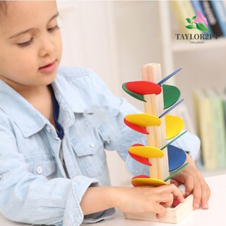 Taylor2pv Montessori ชุดของเล่นเสริมการเรียนรู้เด็ก