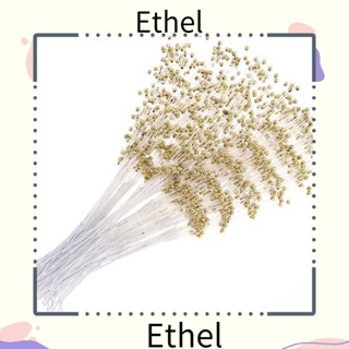 Ethel1 ลูกปัดไข่มุก สีทอง สําหรับงานแต่งงาน Diy