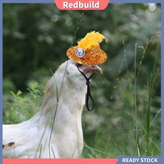 Redbuild|  หมวกไก่ ประดับขนนก สายรัดคาง ยืดหยุ่น ปรับได้ หมวกคอสเพลย์ ไก่ เป็ด นกแก้ว สัตว์ปีก หมวกกันน็อก อุปกรณ์สัตว์เลี้ยง